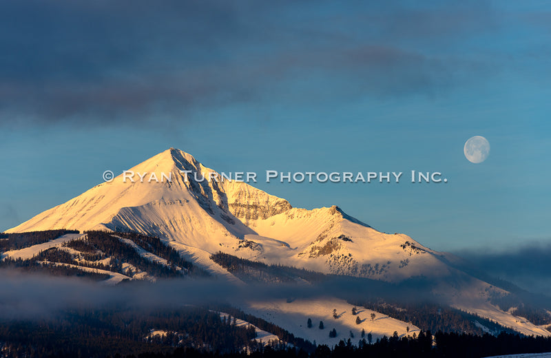 Golden Lone Peak and the Moon 7/75 (12"x17")