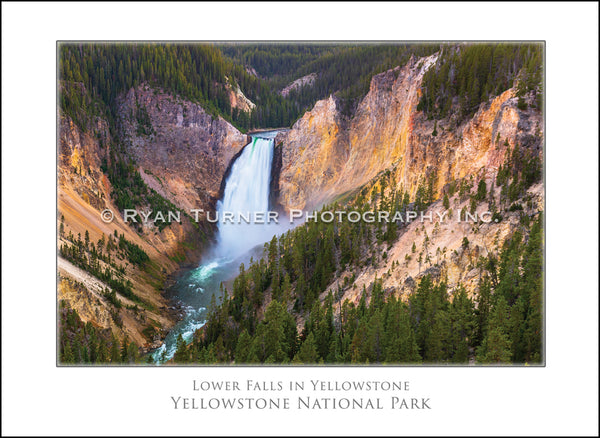 Lower Falls in Yellowstone - Notecard