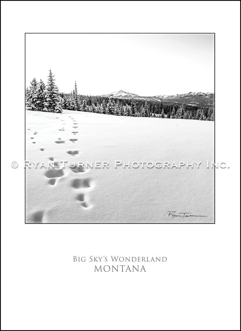 Big Sky's Wonderland - Notecard