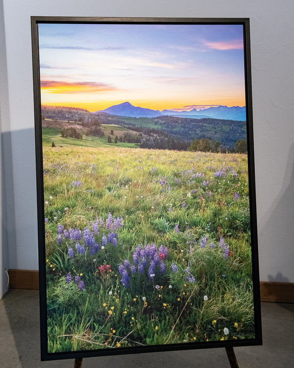 Summer's Glory in the Alpine (42"x28")